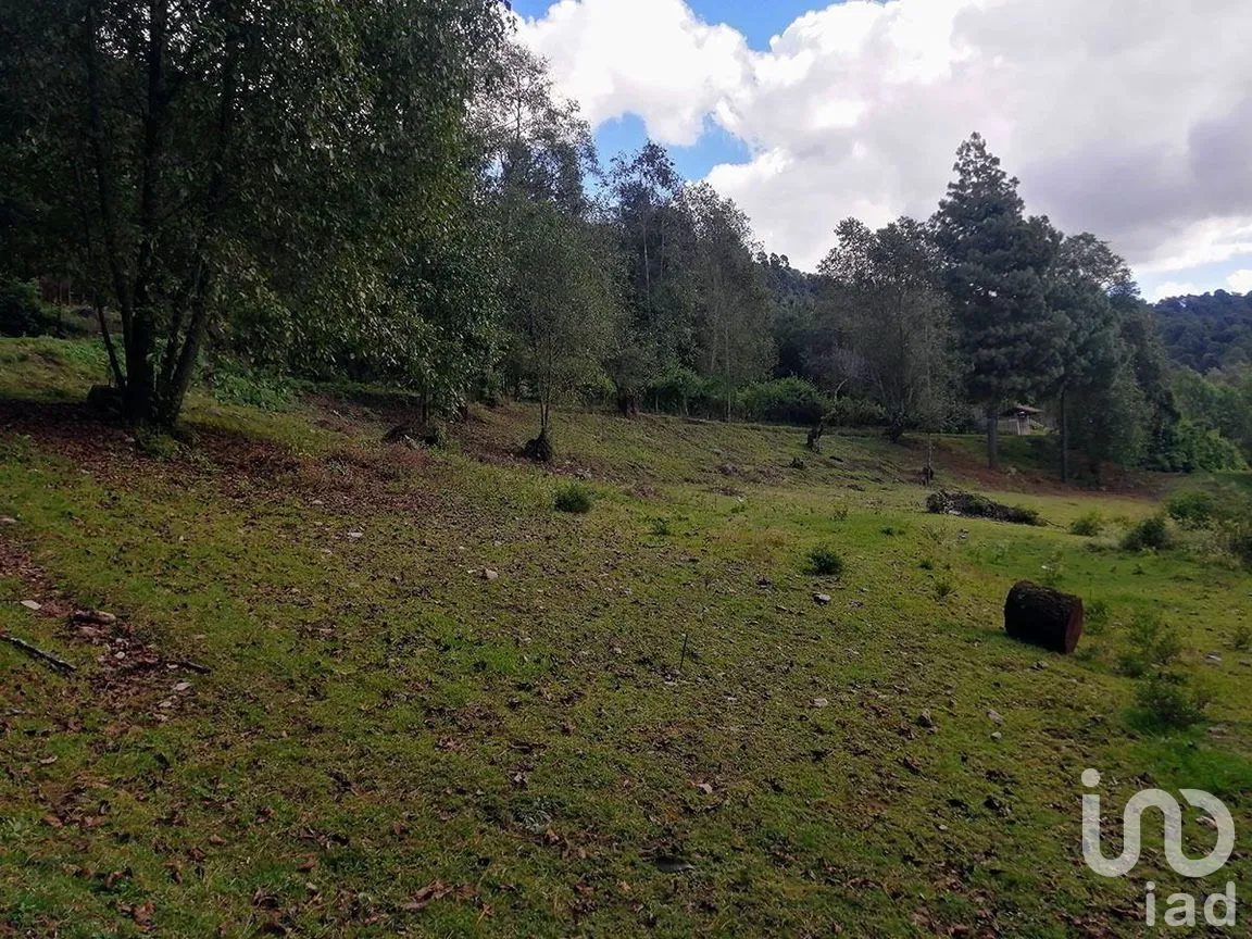 Terreno en Venta en Los Saúcos, Valle de Bravo, Estado De México | NEX-227349 | iad México | Foto 8 de 15