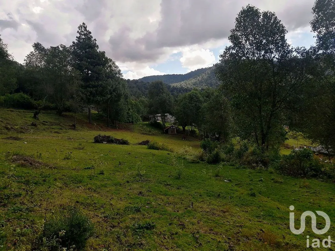 Terreno en Venta en Los Saúcos, Valle de Bravo, Estado De México | NEX-227349 | iad México | Foto 9 de 15