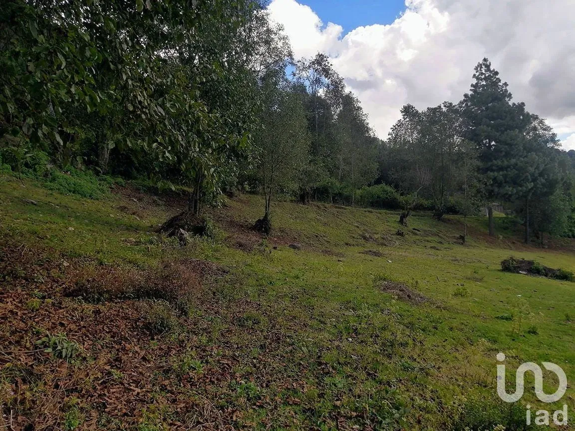 Terreno en Venta en Los Saúcos, Valle de Bravo, Estado De México | NEX-227349 | iad México | Foto 10 de 15