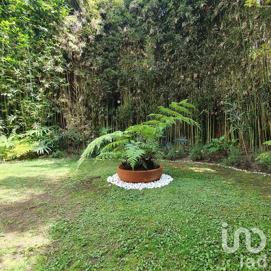 Departamento en Venta en Valle de Bravo, Valle de Bravo, Estado De México | NEX-227351 | iad México | Foto 12 de 12