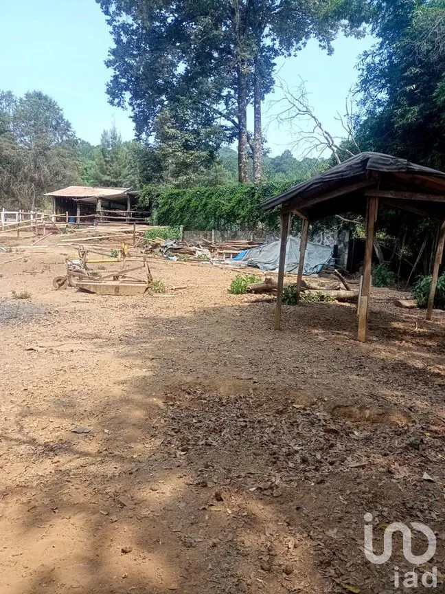 Terreno en Venta en Valle de Bravo, Valle de Bravo, Estado De México | NEX-227361 | iad México | Foto 10 de 10