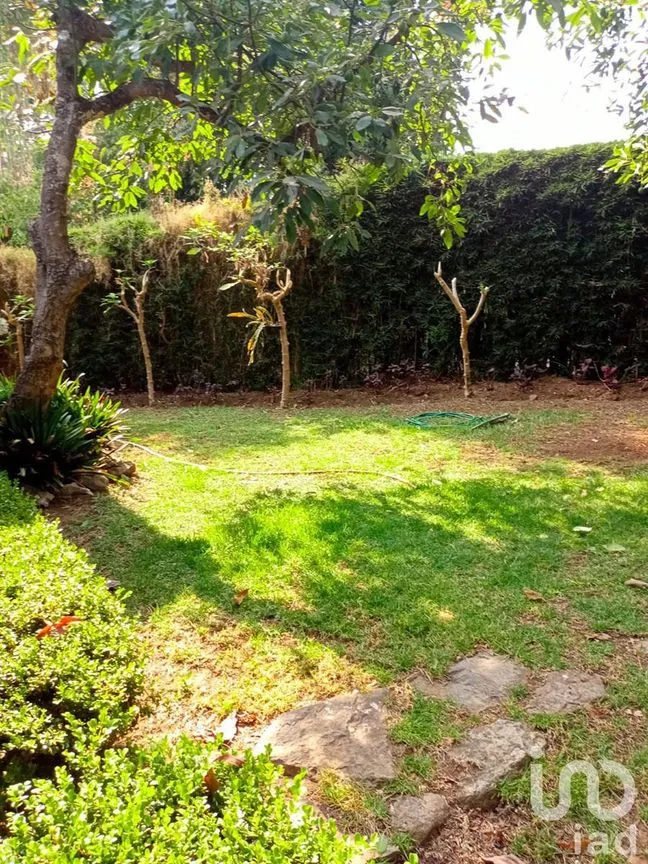 Casa en Renta en Valle de Bravo, Valle de Bravo, Estado De México | NEX-227366 | iad México | Foto 15 de 15