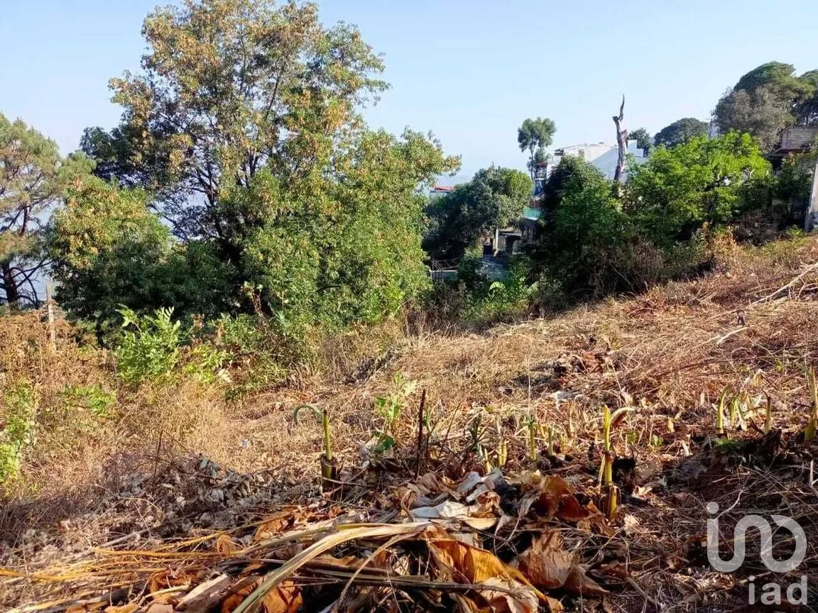 Terreno en Venta en Monte Alto, Valle de Bravo, Estado De México | NEX-227367 | iad México | Foto 11 de 14