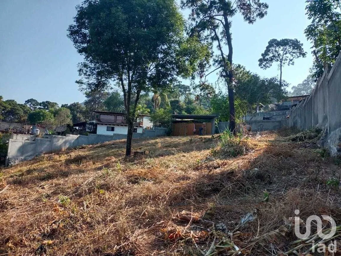 Terreno en Venta en Monte Alto, Valle de Bravo, Estado De México | NEX-227367 | iad México | Foto 13 de 14