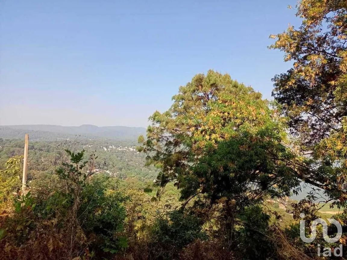 Terreno en Venta en Monte Alto, Valle de Bravo, Estado De México | NEX-227367 | iad México | Foto 6 de 14