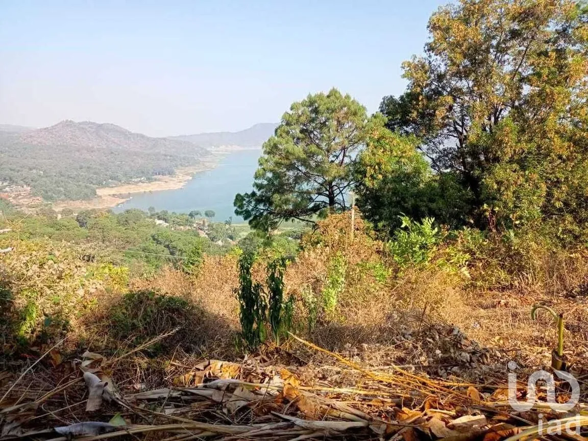Terreno en Venta en Monte Alto, Valle de Bravo, Estado De México | NEX-227367 | iad México | Foto 7 de 14