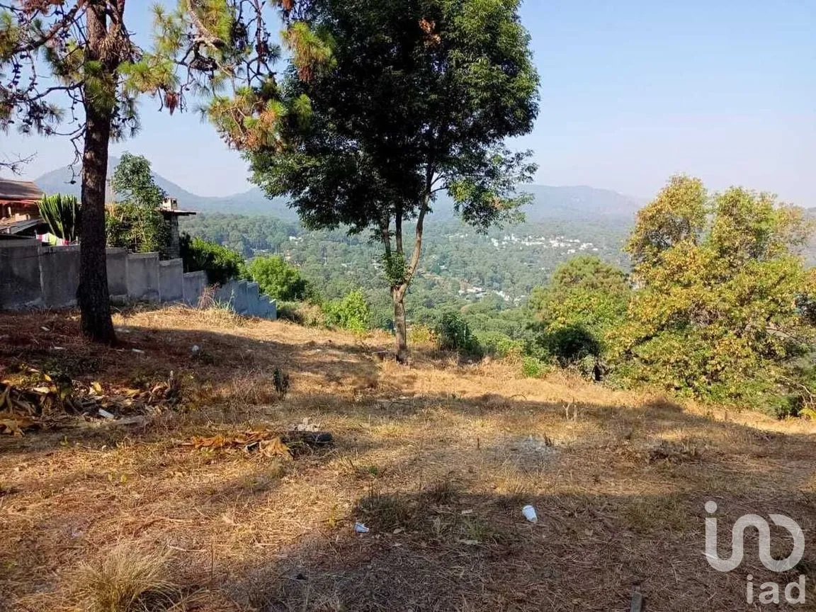 Terreno en Venta en Monte Alto, Valle de Bravo, Estado De México | NEX-227367 | iad México | Foto 9 de 14