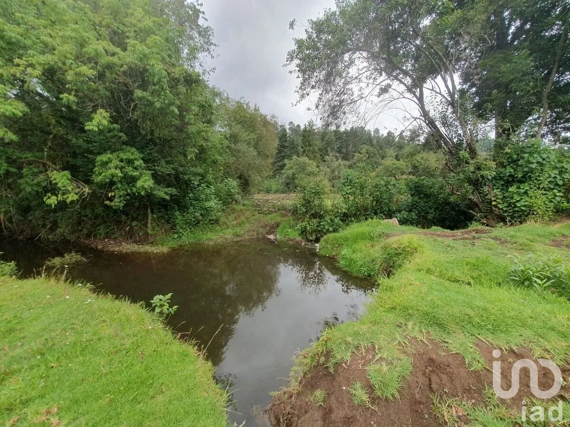 Terreno en Venta en Amanalco de Becerra, Amanalco, Estado De México | NEX-227373 | iad México | Foto 15 de 18