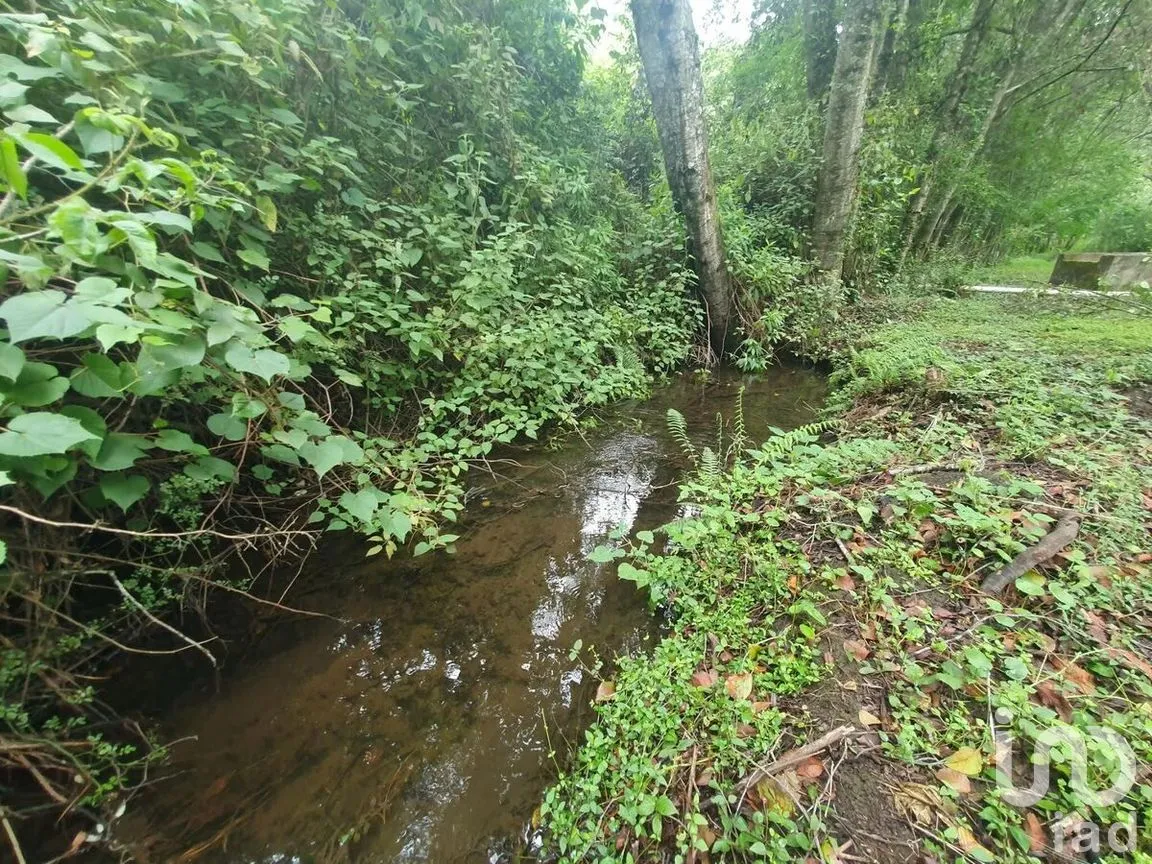 Terreno en Venta en Amanalco de Becerra, Amanalco, Estado De México | NEX-227373 | iad México | Foto 18 de 18