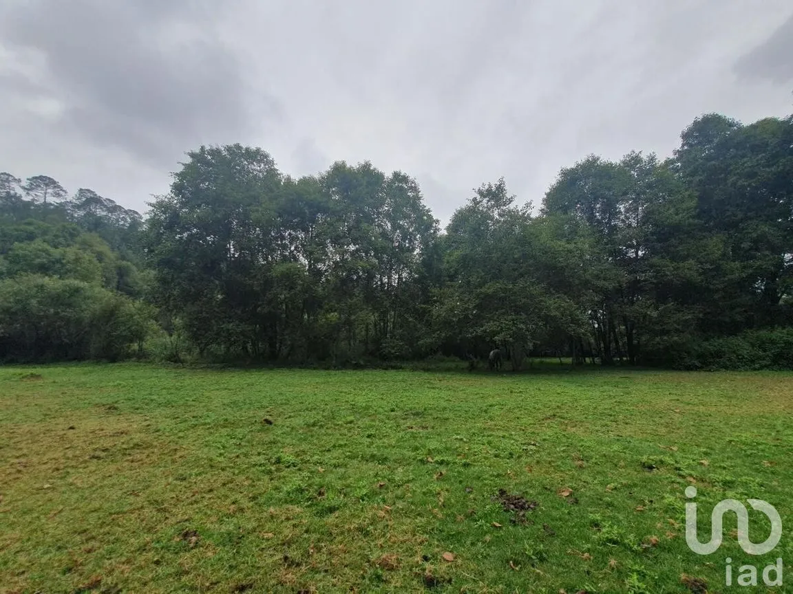 Terreno en Venta en Amanalco de Becerra, Amanalco, Estado De México | NEX-227373 | iad México | Foto 3 de 18