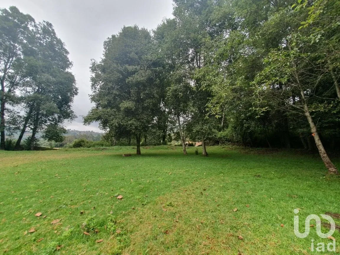 Terreno en Venta en Amanalco de Becerra, Amanalco, Estado De México | NEX-227373 | iad México | Foto 4 de 18