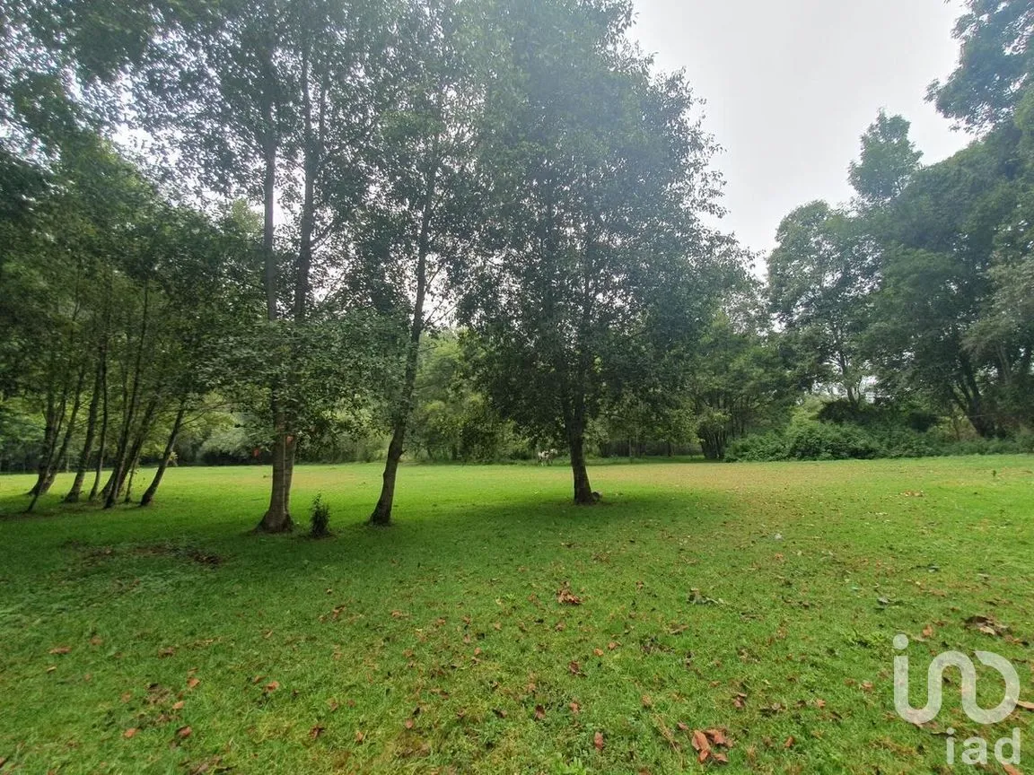 Terreno en Venta en Amanalco de Becerra, Amanalco, Estado De México | NEX-227373 | iad México | Foto 9 de 18