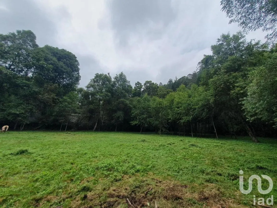 Terreno en Venta en Amanalco de Becerra, Amanalco, Estado De México | NEX-227373 | iad México | Foto 1 de 18
