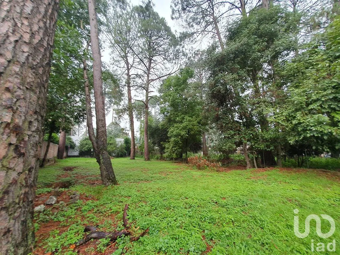 Terreno en Venta en Avándaro, Valle de Bravo, Estado De México | NEX-227809 | iad México | Foto 2 de 7