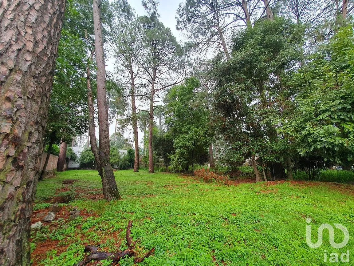 Terreno en Venta en Avándaro, Valle de Bravo, Estado De México | NEX-227809 | iad México | Foto 4 de 7