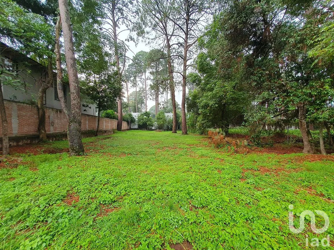 Terreno en Venta en Avándaro, Valle de Bravo, Estado De México | NEX-227809 | iad México | Foto 5 de 7