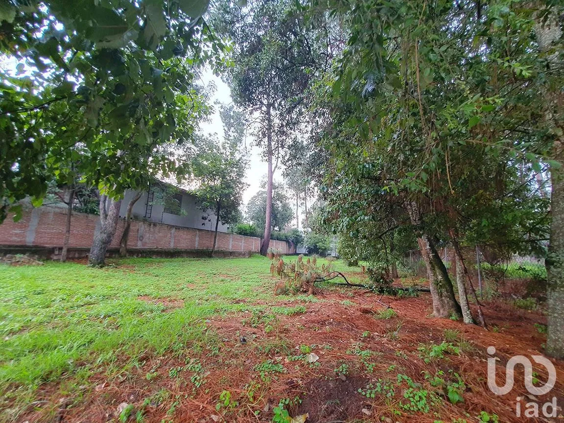 Terreno en Venta en Avándaro, Valle de Bravo, Estado De México | NEX-227809 | iad México | Foto 6 de 7