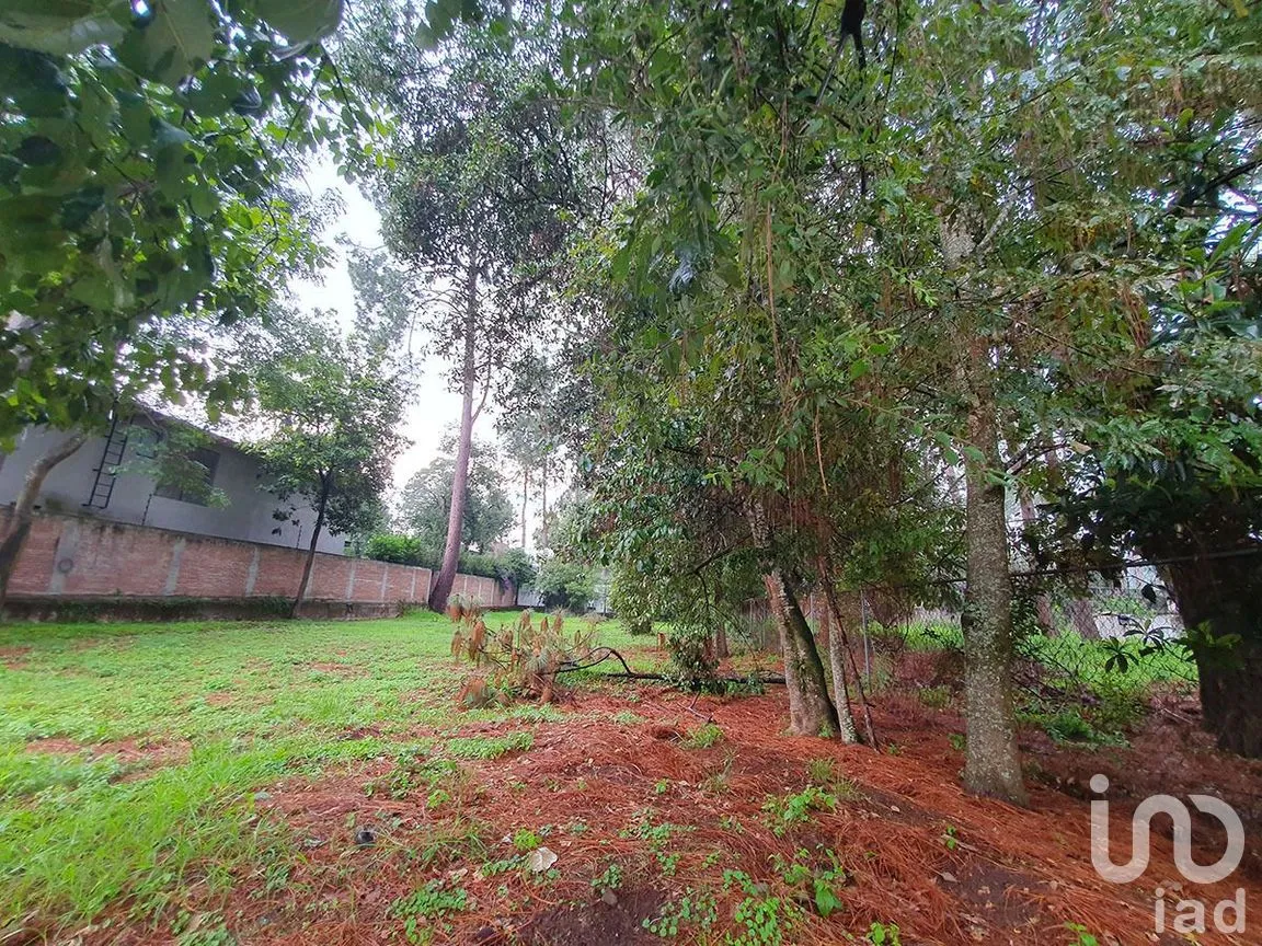 Terreno en Venta en Avándaro, Valle de Bravo, Estado De México | NEX-227809 | iad México | Foto 7 de 7