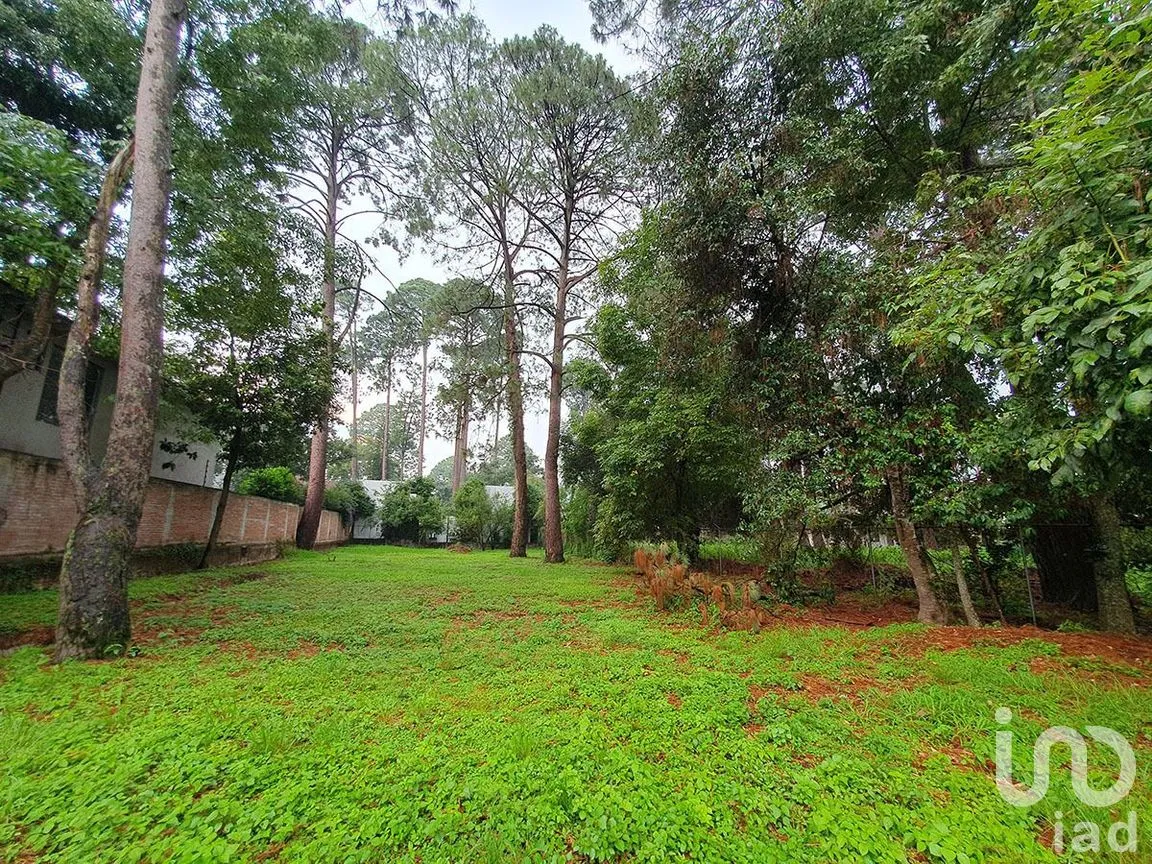 Terreno en Venta en Avándaro, Valle de Bravo, Estado De México | NEX-227809 | iad México | Foto 1 de 7