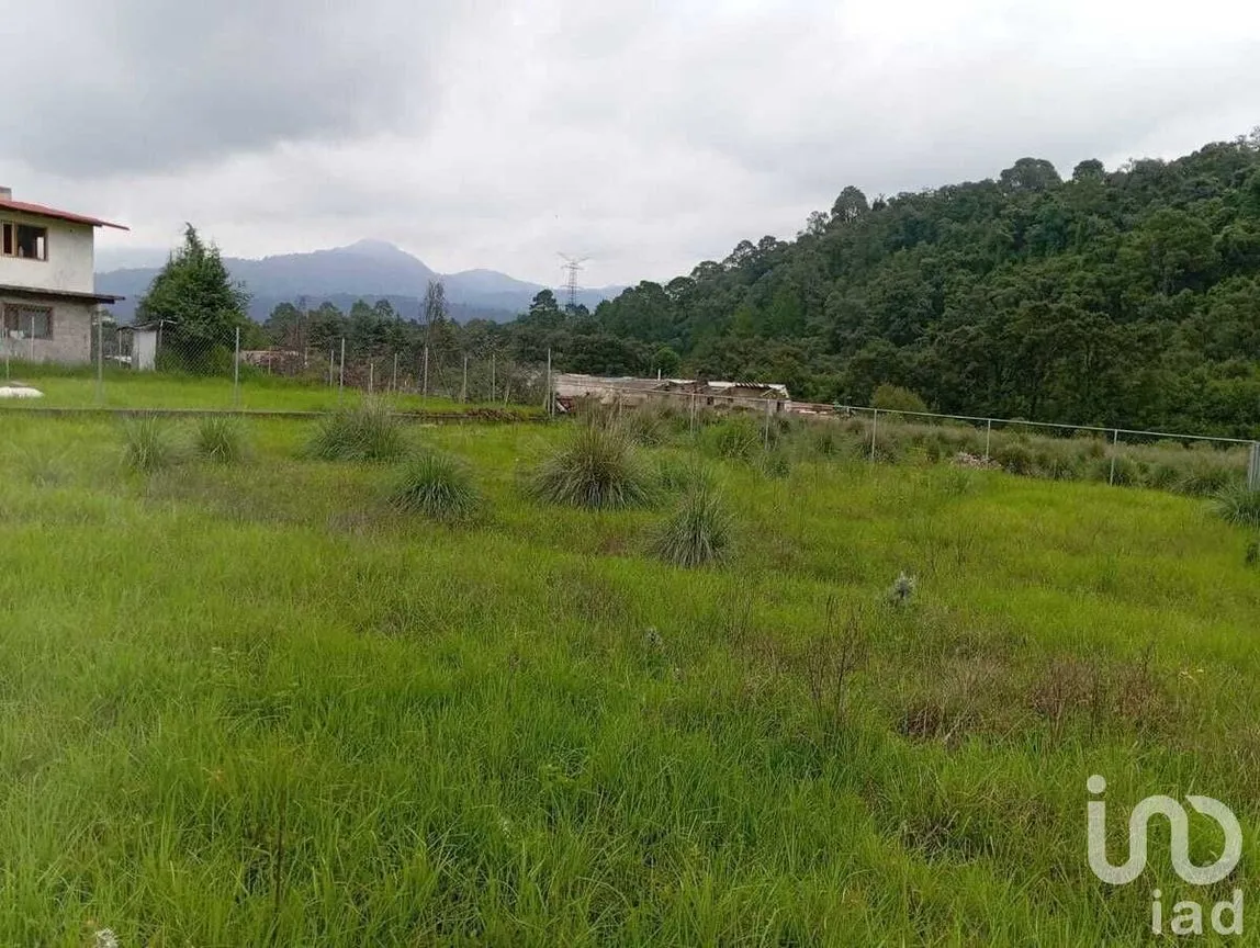 Terreno en Venta en El Fresno, Valle de Bravo, Estado De México | NEX-227817 | iad México | Foto 8 de 16
