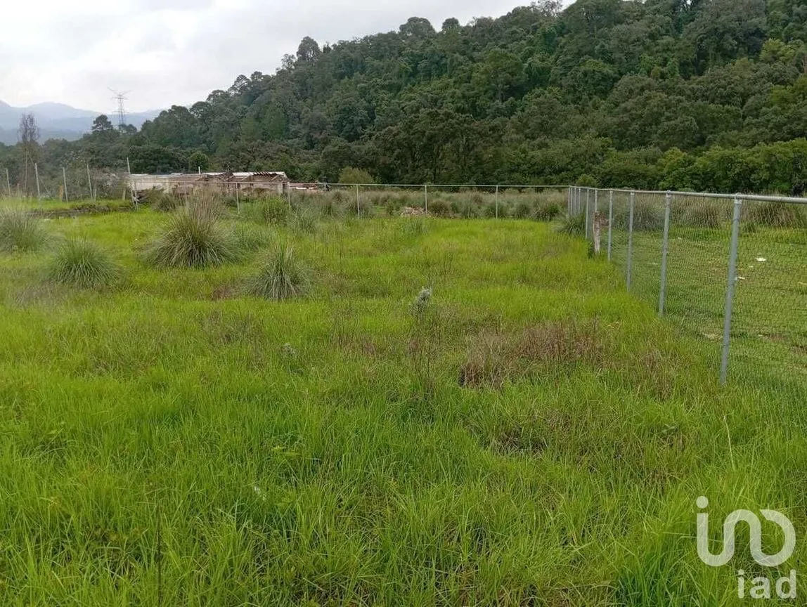 Terreno en Venta en El Fresno, Valle de Bravo, Estado De México | NEX-227817 | iad México | Foto 9 de 16