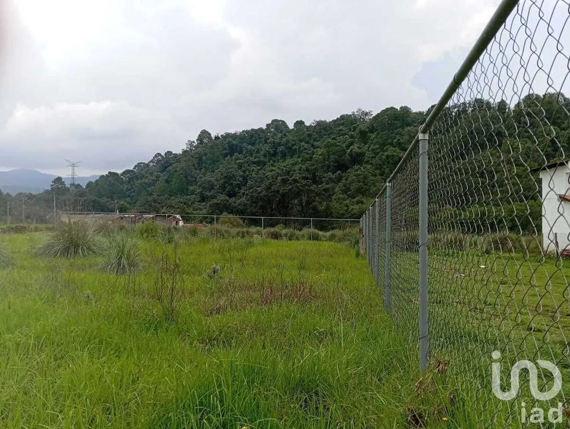 Terreno en Venta en El Fresno, Valle de Bravo, Estado De México | NEX-227817 | iad México | Foto 10 de 16