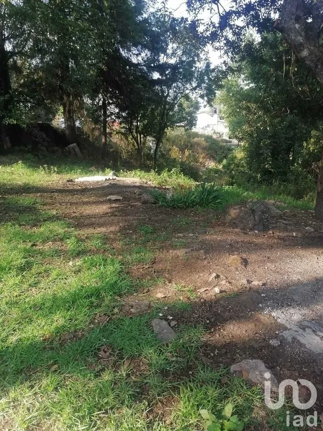 Casa en Venta en Amanalco de Becerra, Amanalco, Estado De México | NEX-227819 | iad México | Foto 11 de 16