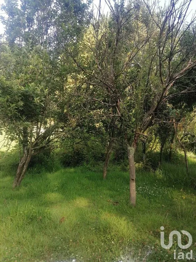 Casa en Venta en Amanalco de Becerra, Amanalco, Estado De México | NEX-227819 | iad México | Foto 13 de 16