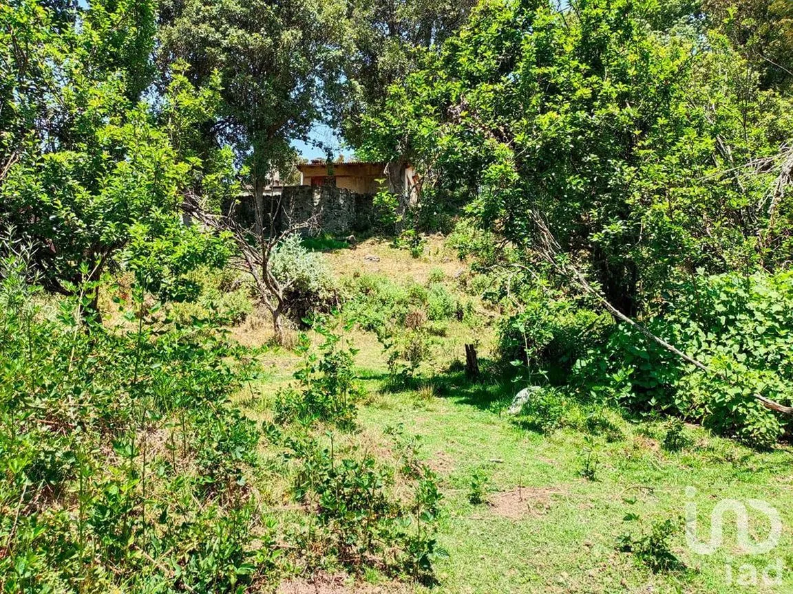 Casa en Venta en Amanalco de Becerra, Amanalco, Estado De México | NEX-227819 | iad México | Foto 6 de 16