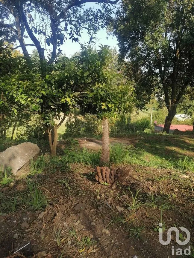 Casa en Venta en Amanalco de Becerra, Amanalco, Estado De México | NEX-227819 | iad México | Foto 9 de 16