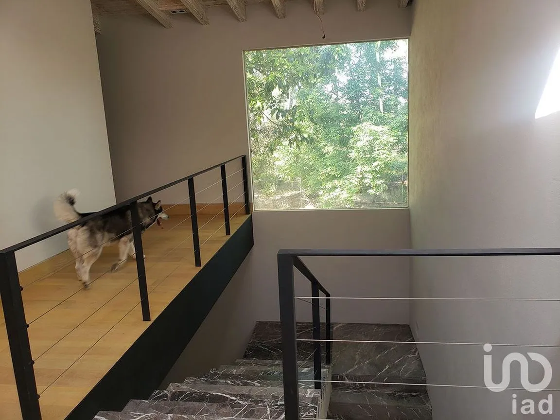 Casa en Renta en Avándaro, Valle de Bravo, Estado De México | NEX-227842 | iad México | Foto 11 de 17
