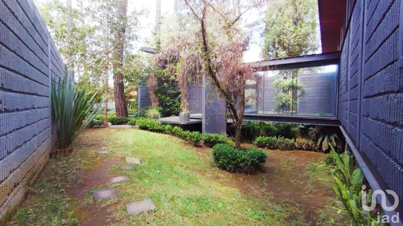 Casa en Venta en Cerro Gordo, Valle de Bravo, Estado De México | NEX-228112 | iad México | Foto 5 de 28