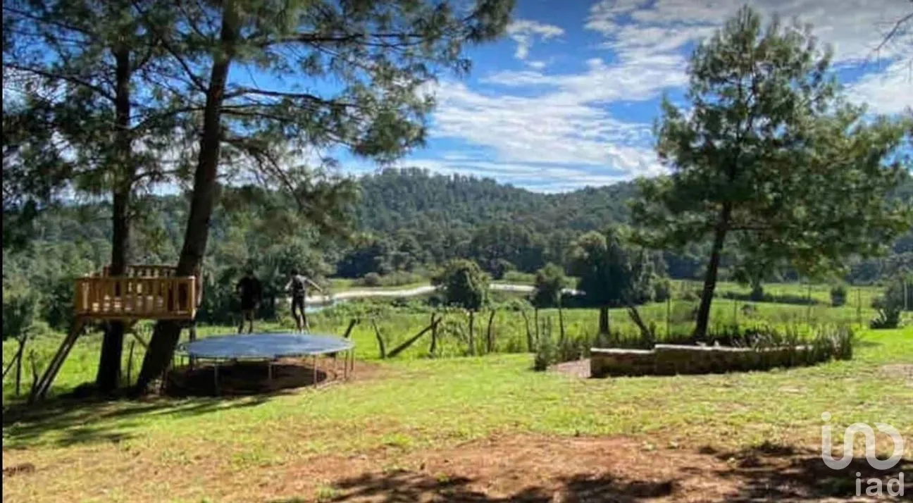Terreno en Venta en Cerro Gordo, Valle de Bravo, Estado De México | NEX-228176 | iad México | Foto 2 de 8