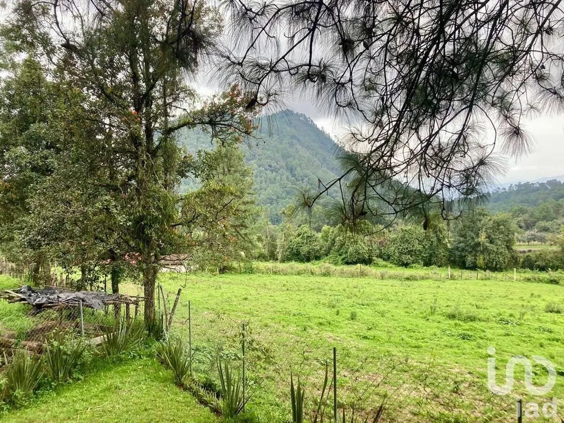 Terreno en Venta en Cerro Gordo, Valle de Bravo, Estado De México | NEX-228176 | iad México | Foto 5 de 8