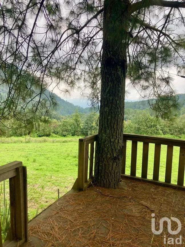 Terreno en Venta en Cerro Gordo, Valle de Bravo, Estado De México | NEX-228176 | iad México | Foto 7 de 8