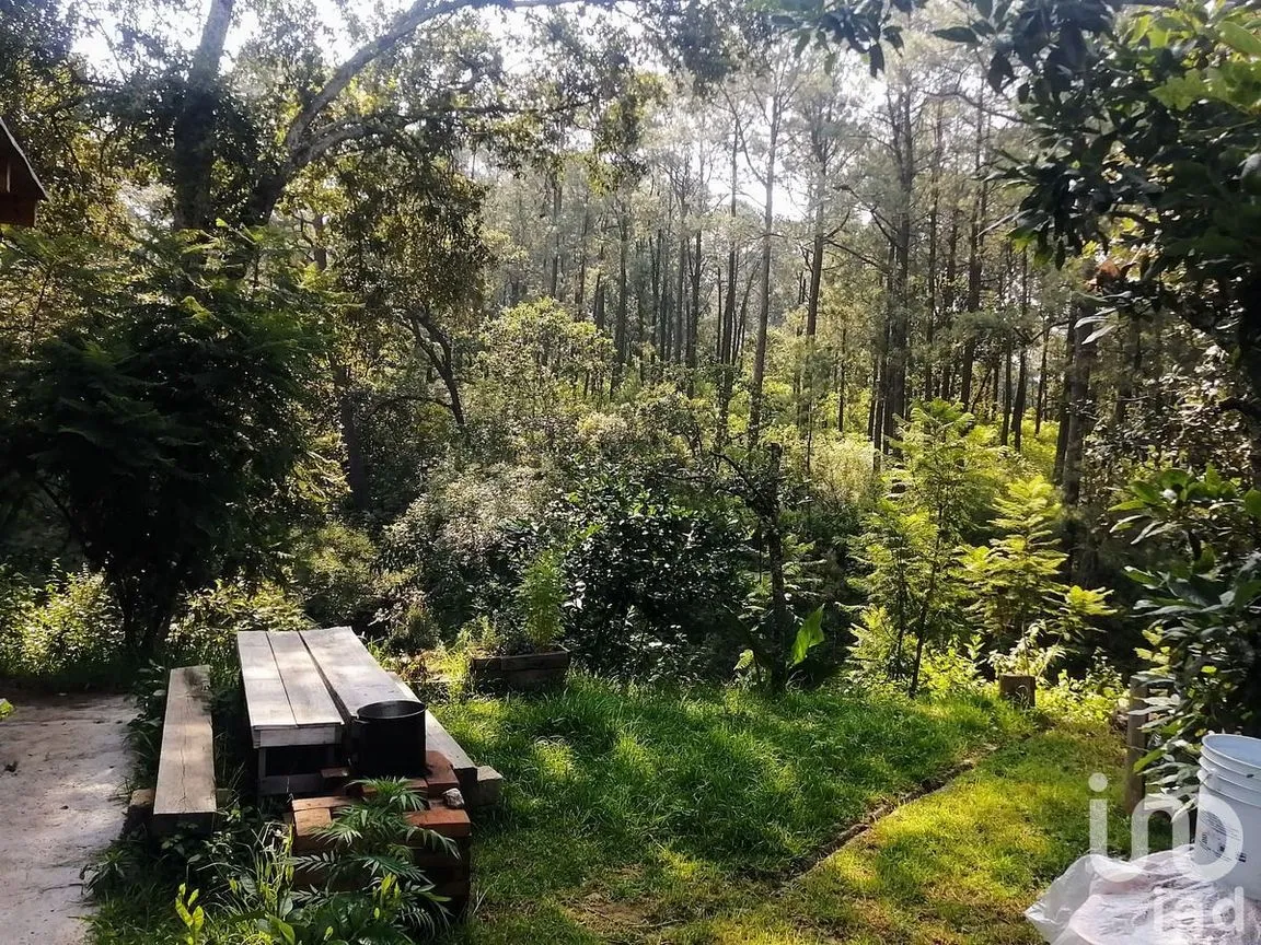 Casa en Renta en San Gabriel Ixtla, Valle de Bravo, Estado De México | NEX-228403 | iad México | Foto 12 de 13