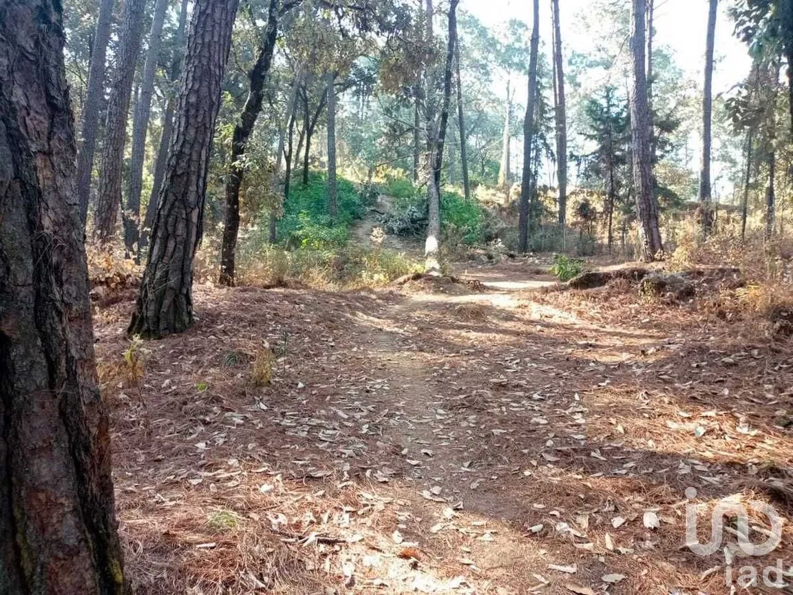 Terreno en Venta en Avándaro, Valle de Bravo, Estado De México | NEX-228839 | iad México | Foto 2 de 12