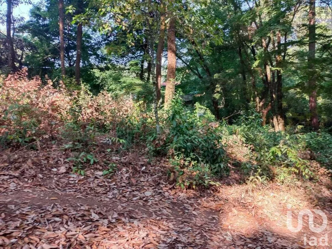 Terreno en Venta en Avándaro, Valle de Bravo, Estado De México | NEX-228839 | iad México | Foto 3 de 12