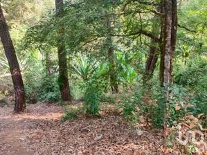 NEX-228839 - Terreno en Venta en Avándaro, CP 51200, Estado De México.