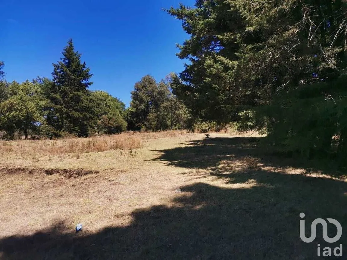 Terreno en Venta en Valle de Bravo, Valle de Bravo, Estado De México | NEX-228840 | iad México | Foto 2 de 13