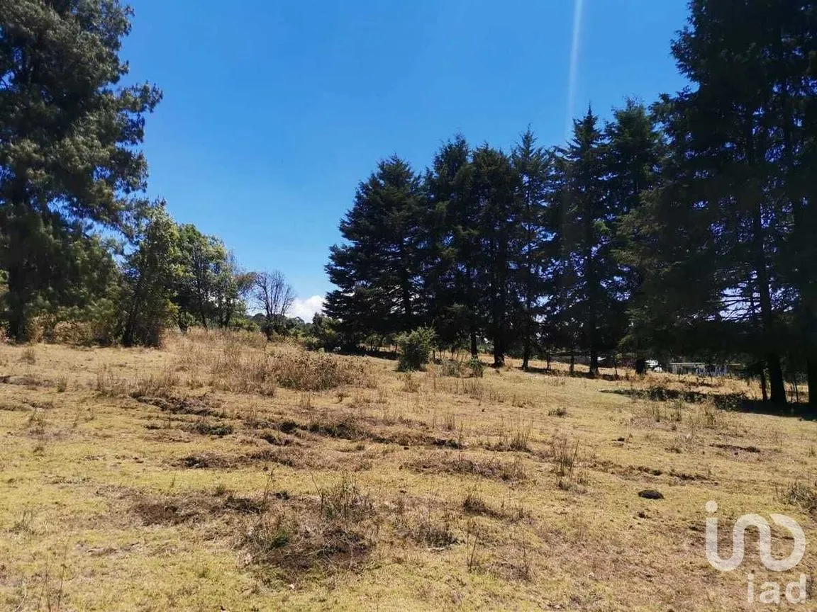 Terreno en Venta en Valle de Bravo, Valle de Bravo, Estado De México | NEX-228840 | iad México | Foto 5 de 13