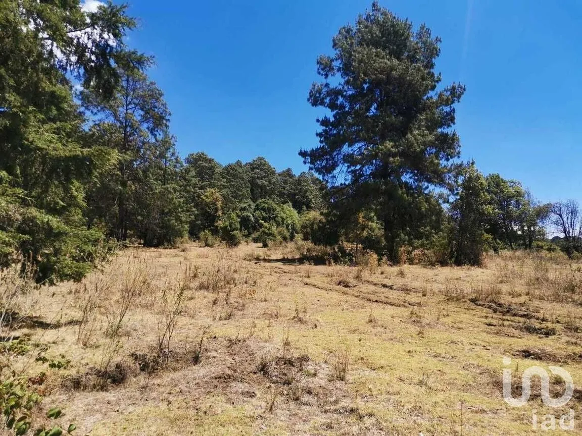Terreno en Venta en Valle de Bravo, Valle de Bravo, Estado De México | NEX-228840 | iad México | Foto 6 de 13