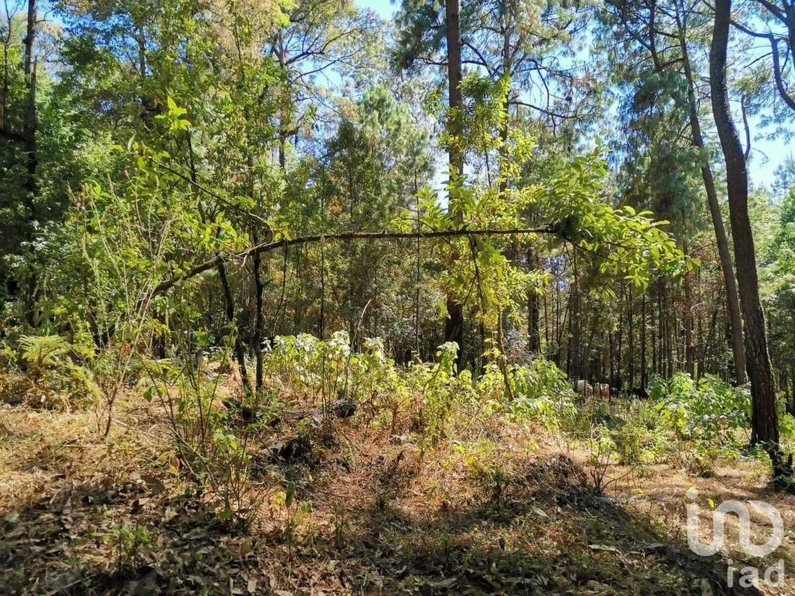 Terreno en Venta en Valle de Bravo, Valle de Bravo, Estado De México | NEX-228840 | iad México | Foto 7 de 13
