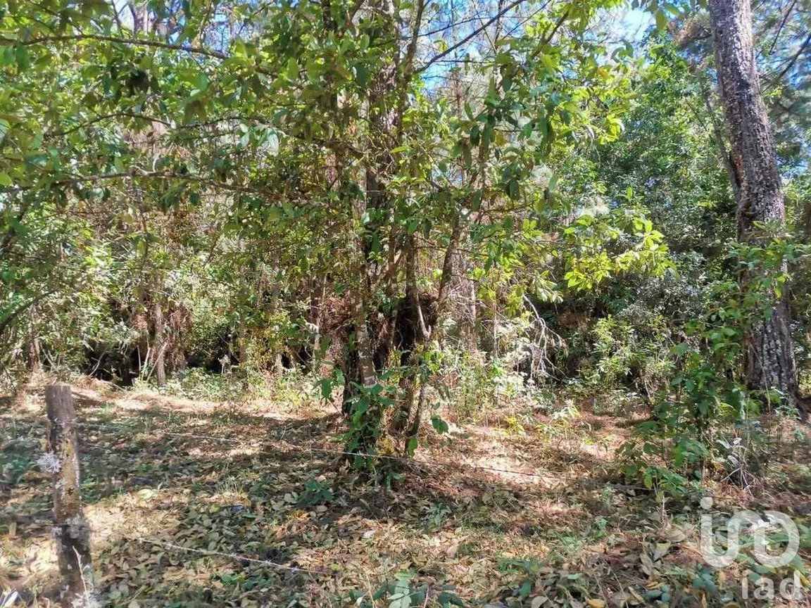 Terreno en Venta en Valle de Bravo, Valle de Bravo, Estado De México | NEX-228840 | iad México | Foto 8 de 13