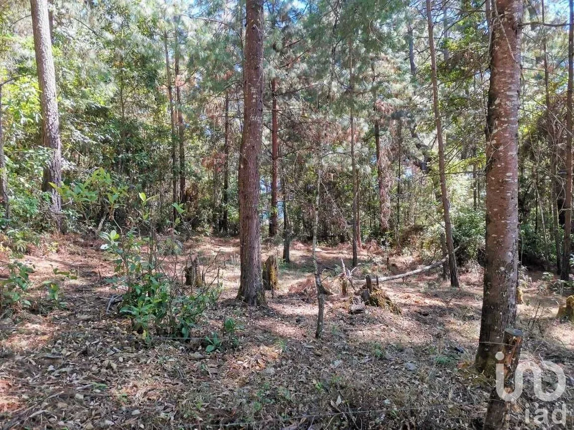 Terreno en Venta en Valle de Bravo, Valle de Bravo, Estado De México | NEX-228840 | iad México | Foto 10 de 13