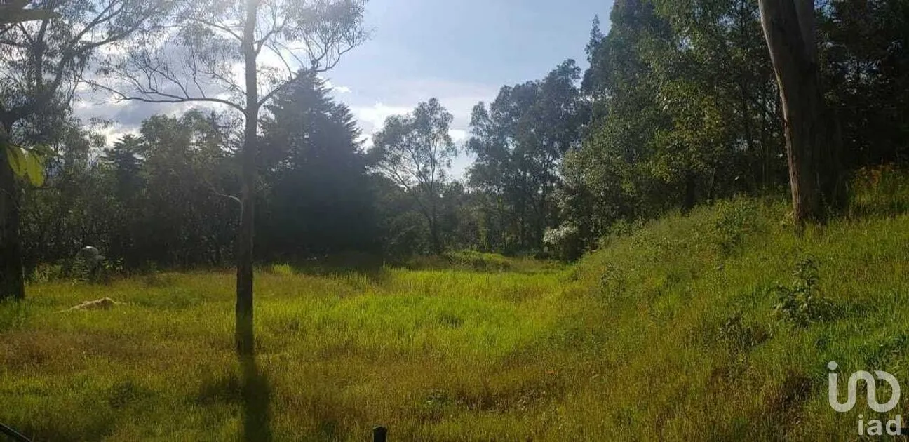 Terreno en Venta en Valle de Bravo, Valle de Bravo, Estado De México | NEX-228845 | iad México | Foto 2 de 9
