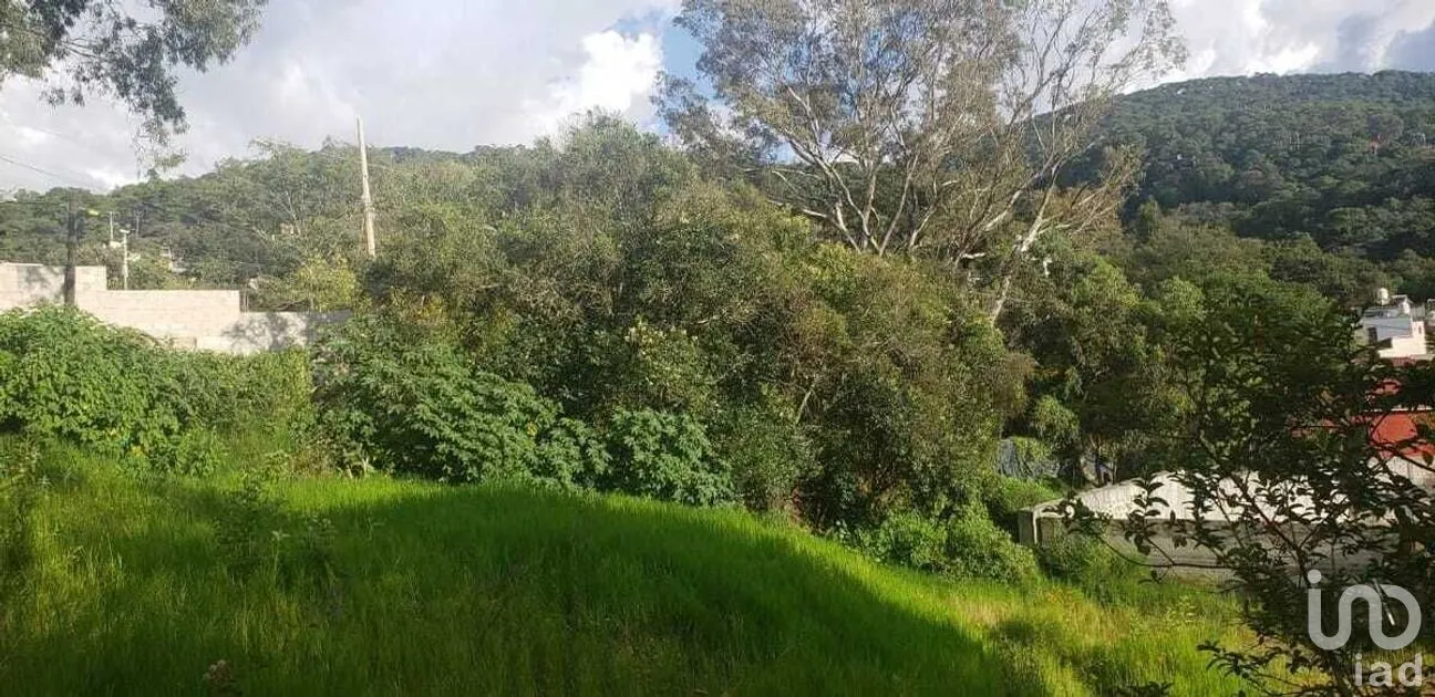 Terreno en Venta en Valle de Bravo, Valle de Bravo, Estado De México | NEX-228845 | iad México | Foto 3 de 9