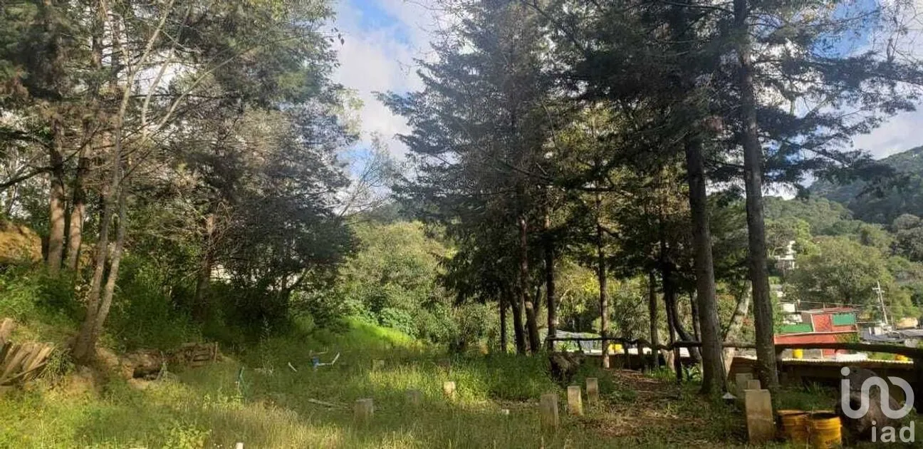 Terreno en Venta en Valle de Bravo, Valle de Bravo, Estado De México | NEX-228845 | iad México | Foto 4 de 9