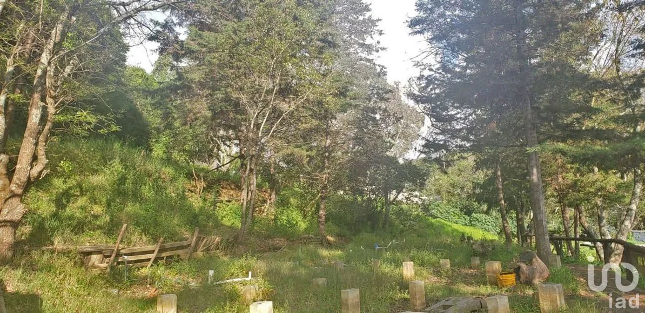 Terreno en Venta en Valle de Bravo, Valle de Bravo, Estado De México | NEX-228845 | iad México | Foto 6 de 9