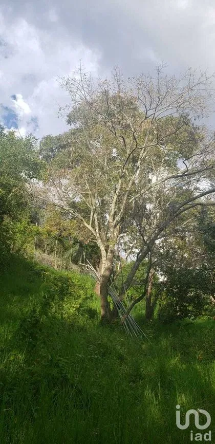 Terreno en Venta en Valle de Bravo, Valle de Bravo, Estado De México | NEX-228845 | iad México | Foto 7 de 9